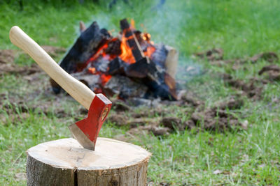 Close-up of bonfire on wooden log