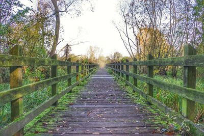 Footbridge in forest against sky