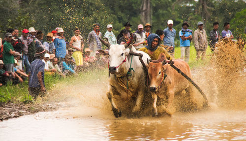 Group of people in water