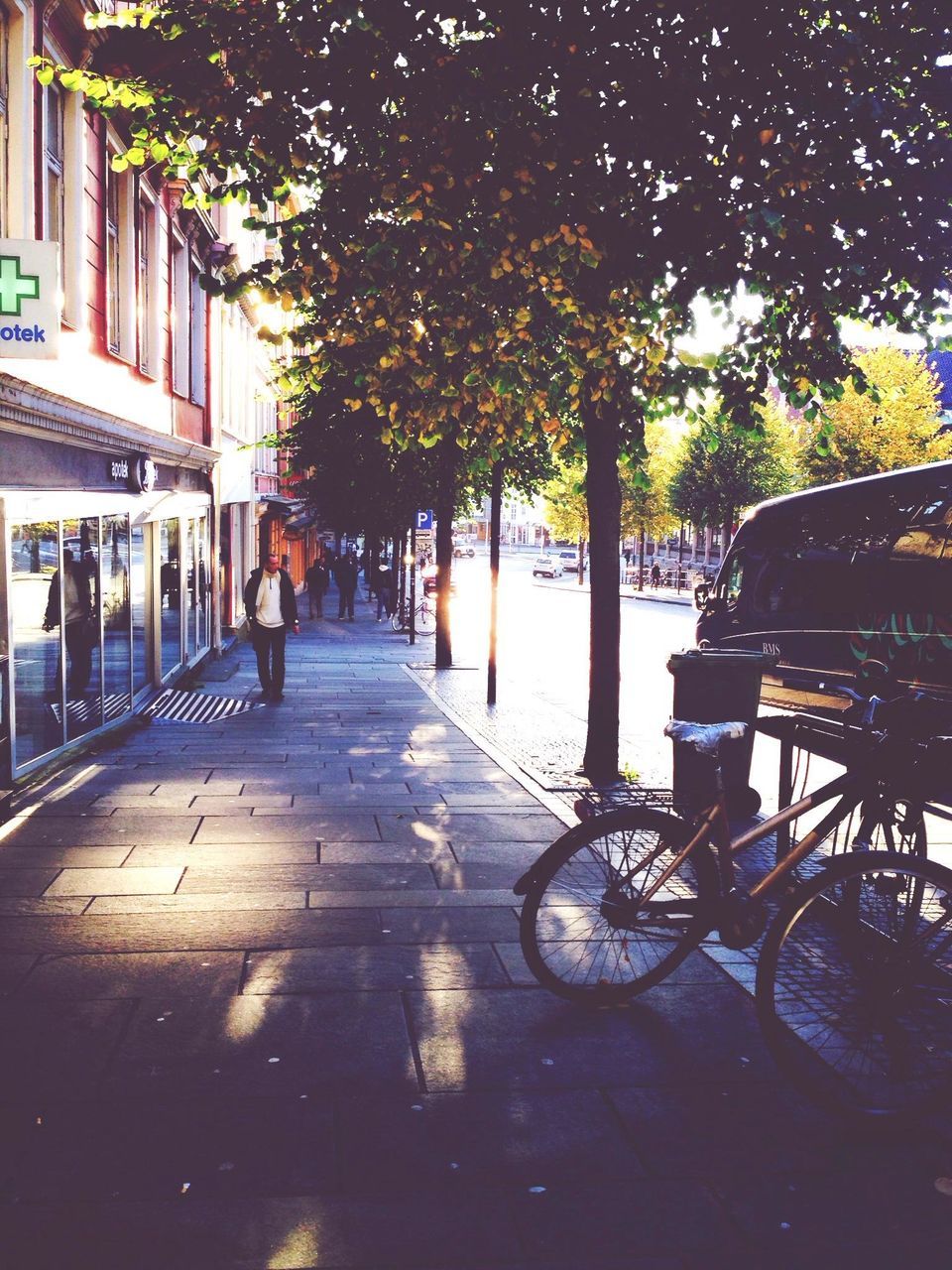 tree, sunlight, the way forward, street, transportation, built structure, shadow, bicycle, tree trunk, footpath, city, incidental people, sidewalk, land vehicle, architecture, empty, building exterior, parking, car, street light