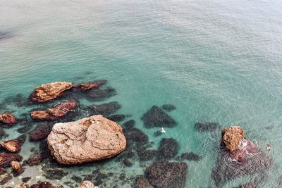 High angle view of rocks at sea shore