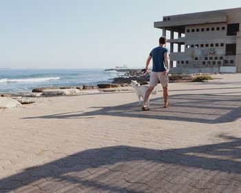 Rear view of man walking with dog by sea against clear sky