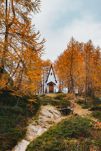 Church in the woods against sky during autumn