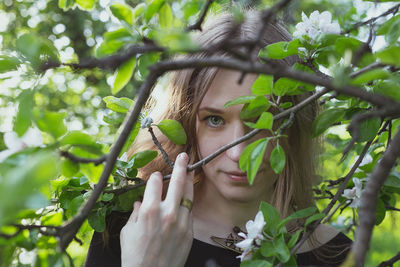 Close up woman looking through apple branches portrait picture