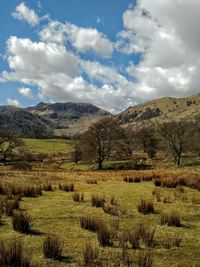 Scenic view of field and mountains against sky