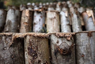 Full frame shot of logs