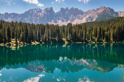 Panoramic view of pine trees by lake against sky