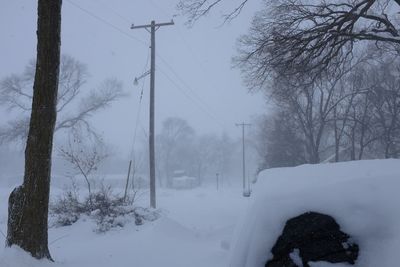 Bare tree on snow covered landscape