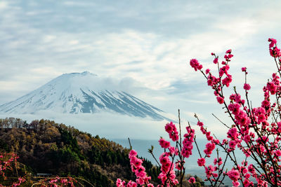 Scenic view of snowcapped mountain against cloudy sky