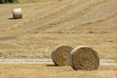 Hay bales on field