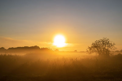 Silhouette trees on field against sky during sunset