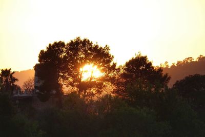 Silhouette trees against sky during sunset