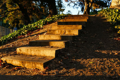 Empty steps at park during sunset