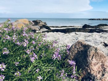 Scenic view of sea by rocks against sky