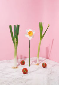 Spring onion, garlic, cherry tomatoes and flower standing on pastel pink and marble background