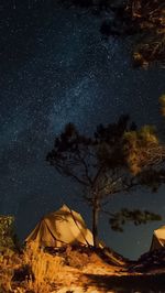 Low angle view of stars in sky at night