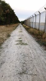 Empty road amidst trees against sky