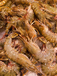 High angle view of fish for sale in market