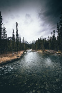 Scenic view of river against sky