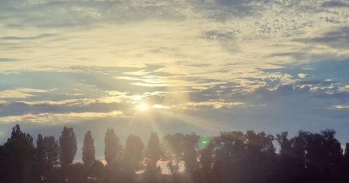 Sunlight streaming through trees on landscape against sky