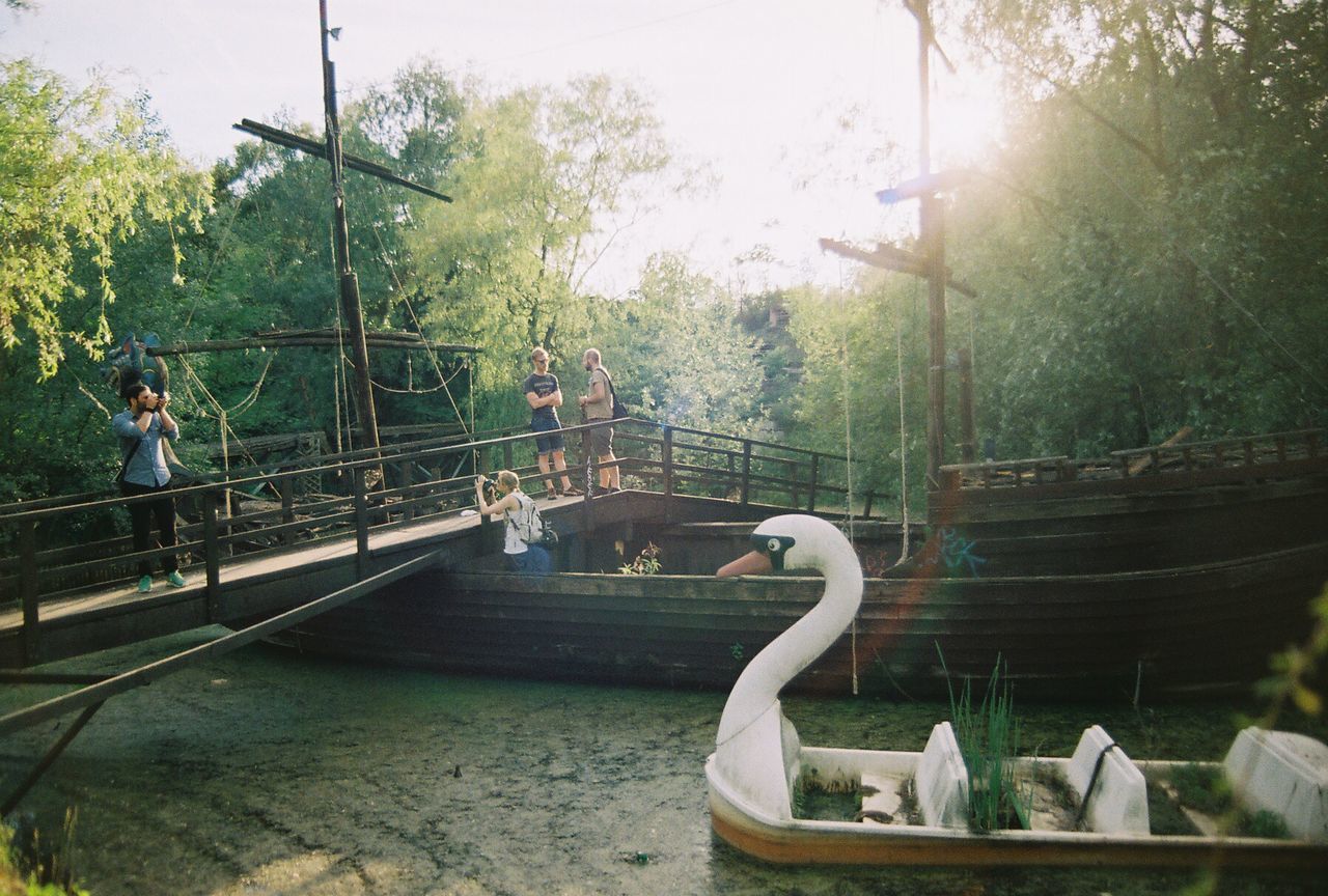 tree, water, animal themes, park - man made space, nature, bird, railing, animals in the wild, transportation, wildlife, sunlight, outdoors, river, growth, day, men, incidental people, bridge - man made structure, fountain