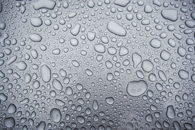 Full frame shot of water drops on glass window