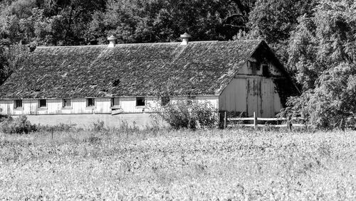 View of abandoned house on field