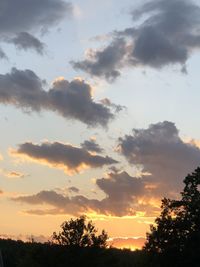 Low angle view of silhouette trees against sky during sunset