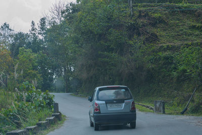 Car on road amidst trees in forest