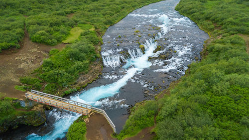 High angle view of stream amidst plants