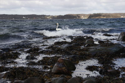 View of sea from rocks