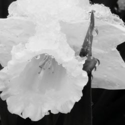 Close-up of snow against sky