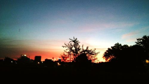 Silhouette of trees at sunset