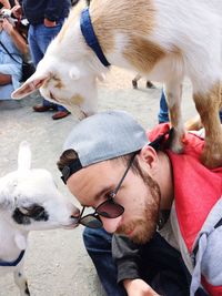 Midsection of man with dog