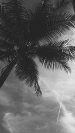 Low angle view of palm tree against sky