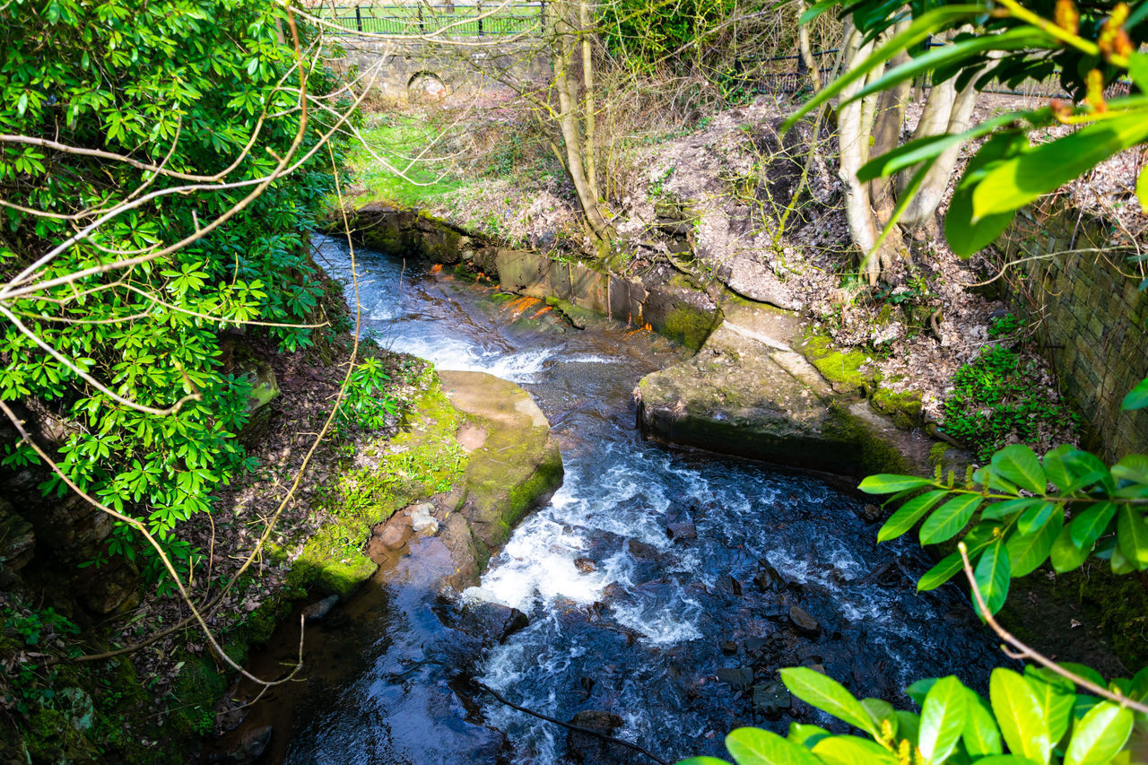 SCENIC VIEW OF STREAM FLOWING THROUGH ROCKS IN FOREST