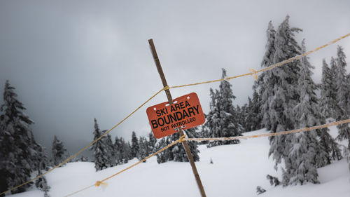 Information sign by snow covered trees against sky