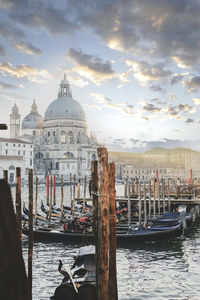 Boats moored at dock against sky in city