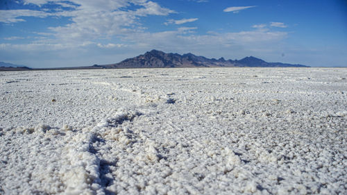 Scenic view of desert against sky