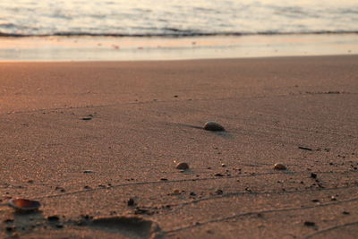 Surface level of sandy beach