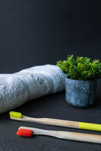 Close-up of potted plant on table against black background