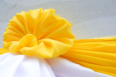 Close-up of yellow flowering plant