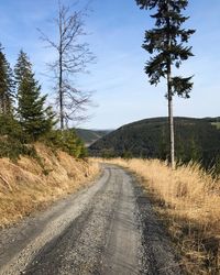 Road amidst trees against clear sky