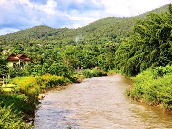 Scenic view of green mountains against sky