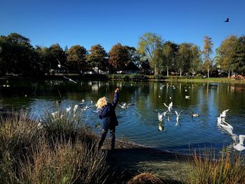 Ducks in lake against clear sky