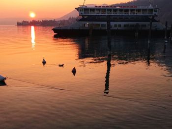 View of birds in sea at sunset