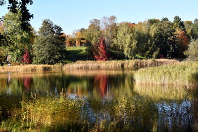 Scenic view of lake by trees against sky