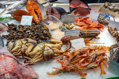 Crustaceans and seafood for sale at a market