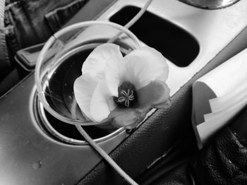 High angle view of black and white roses