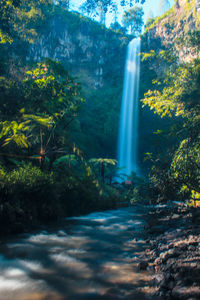 Scenic view of waterfall in forest